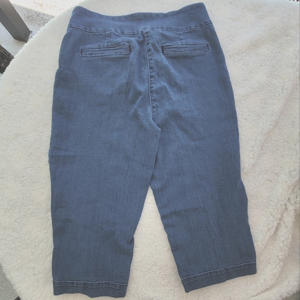 Alia Skimmer Denim Pull On